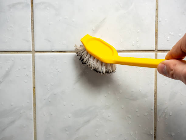 Best Mold Cleaning Services  in Crestline, CA