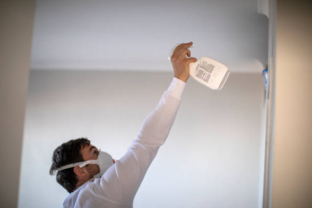 Certified Mold Removal in Crestline, CA