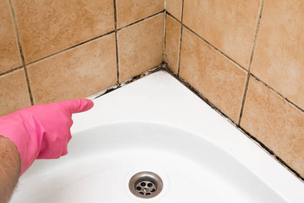 Best Mold Removal Near Me  in Crestline, CA